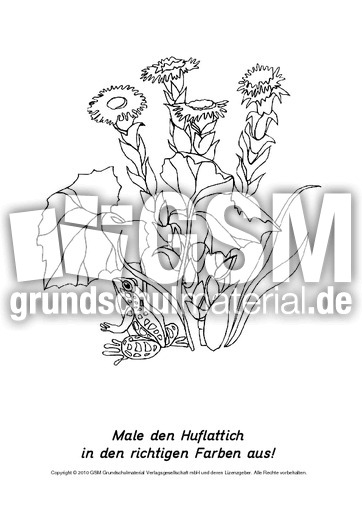 Frühlingsblüher-Ausmalbilder 19.pdf